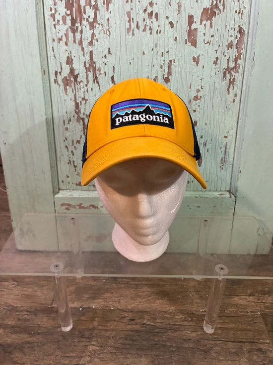 Patagonia Other - Patagonia Yellow and Navy Mesh Logo Cap